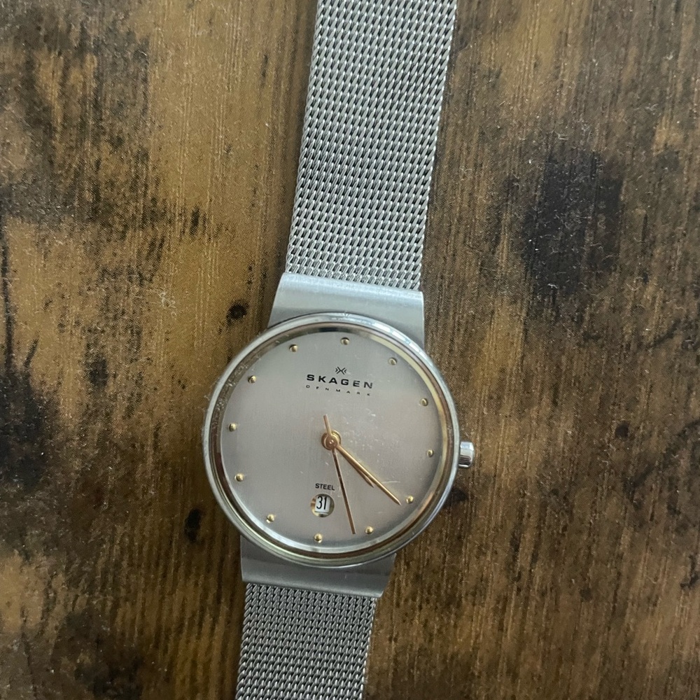 Skagen Silver and Gold Mesh Watch